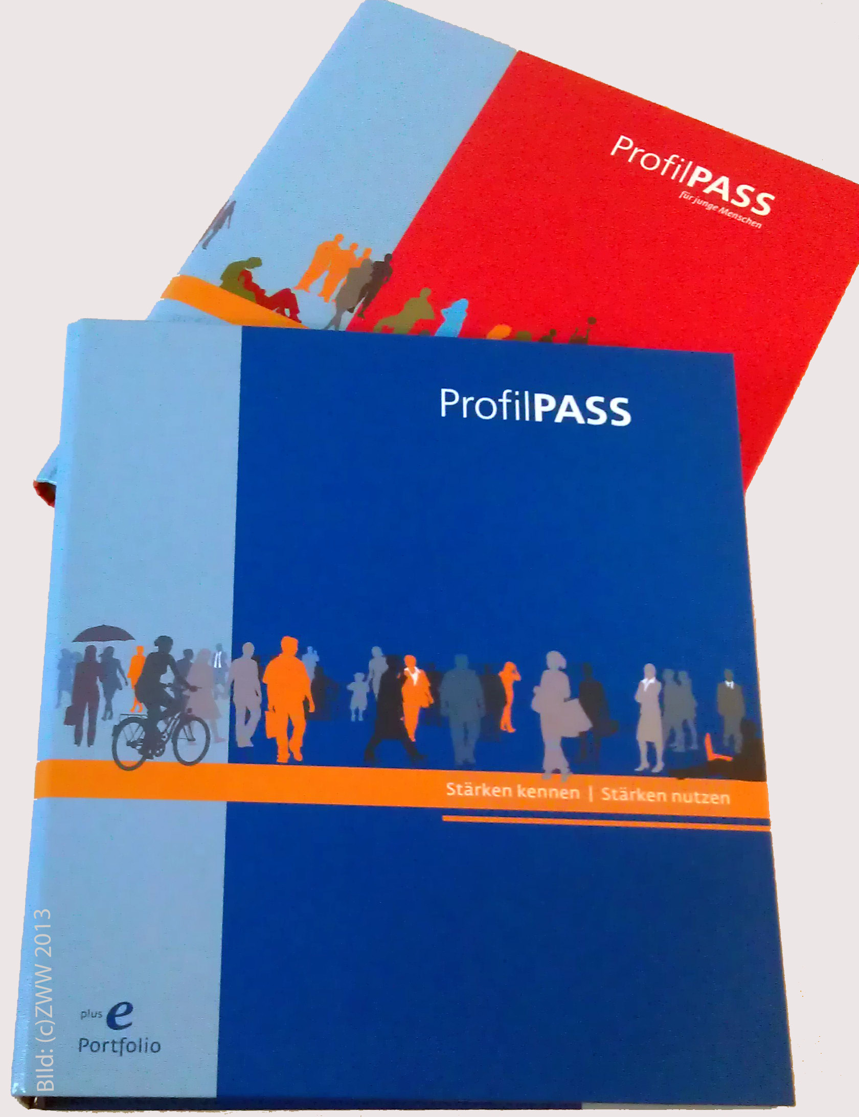 Image result for profilpass germany